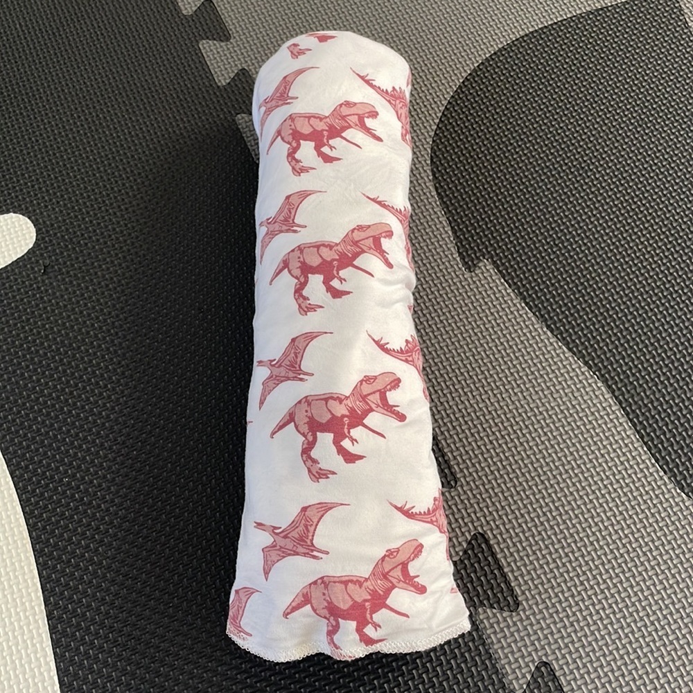 Kate Quinn Dinosaur Swaddle